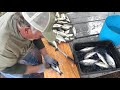 How To Dress White Perch