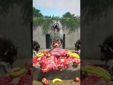 Guys… tell me there’s nothing scary behind me 😄 right? #wolfgame #wolf #slg