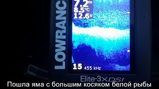 Эхолот lowrance elite - 3x