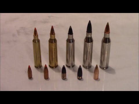 22-250 vs 243 vs 204 Ruger