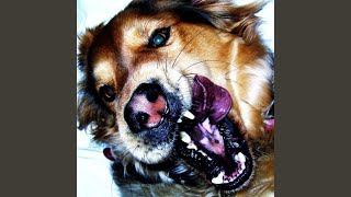 Cover art for Caroline, Please Kill Me