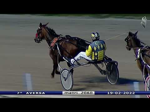 Aversa trotto 19 Febbraio 2022 - 7° Corsa