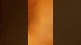 Femias  com filhotes separadas do Criatorio 