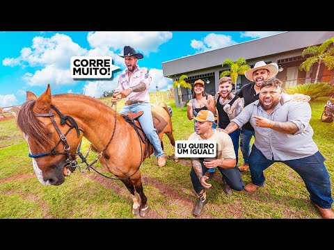 MY FRIENDS WENT ON MY HORSE AND WERE IMPRESSED