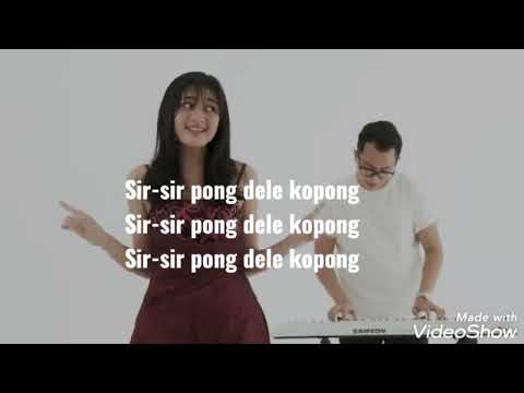 Medley 12 Lagu Daerah Indonesia + Lirik