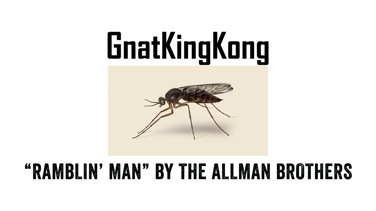 Promotional video thumbnail 4 for Gnat King Kong