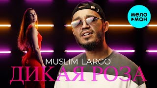 Muslim Largo - Дикая роза (Official Video, 2024)