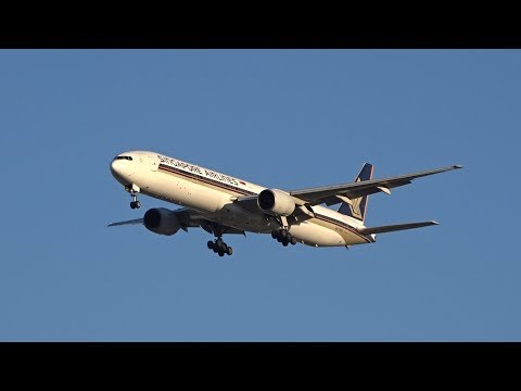 Brisbane Airport Plane Spotting | July 2018 Compilation (Part 2) | Bird Strike