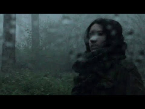 Sara Renar - Dani bez sjena