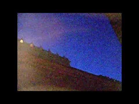 Schillerska & nakna träd