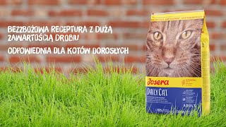 Josera DailyCat – bezzbożowa karma z dużą zawartością drobiu dla kota dorosłego
