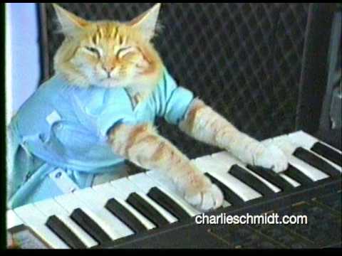 Keyboard Cat Behind The Scenes! - SHOCKING NEW FOOTAGE!