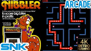 Nibbler Arcade ( SNK 1982 ) 4k Gameplay