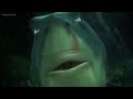 Finding Nemo Feeding Frenzy