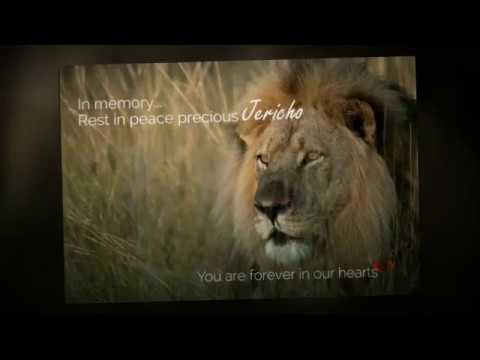 Jericho the Lion - Rest in Peace Noble Warrior