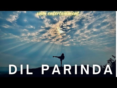 Dil Parinda  Full Video - VNM Entertainment | Amrit | Ansh | Vivekanand Mishra
