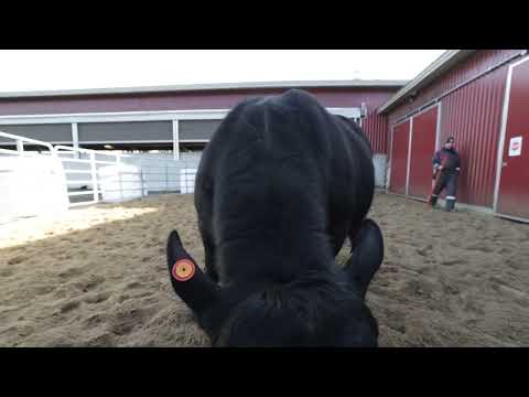 FI000026957500-4 PR.ÄKSÖN