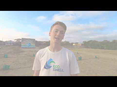 EcoSwell reforestation efforts of the endangered equatorial dry forest