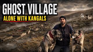 He Lives Alone in an Abandoned Ghost Village With Legendary Kangal Dogs