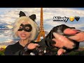1 Minute ASMR There S Something In Your Eye Cat Noir Tingles ‍