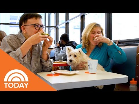 download lagu mp3 mp4 Pet Friendly Cafe Near Me, download lagu Pet Friendly Cafe Near Me gratis, unduh video klip Pet Friendly Cafe Near Me