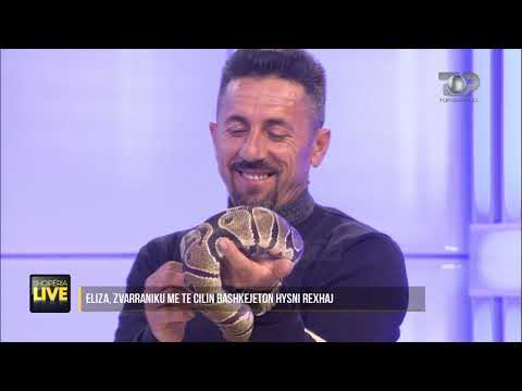 Gjarpri “live” në studio, tmerron prezantuesit - Shqipëria Live, 10 Shkurt 2020