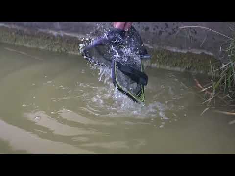 Matrix Pellet Soaker