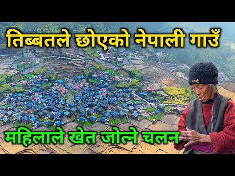 तिब्बतले छोएको नेपाली गाउँ | हजारौँ वर्ष पुरानो बस्ती | छोरी मान्छेले खेत जोत्ने अनौठो चलन