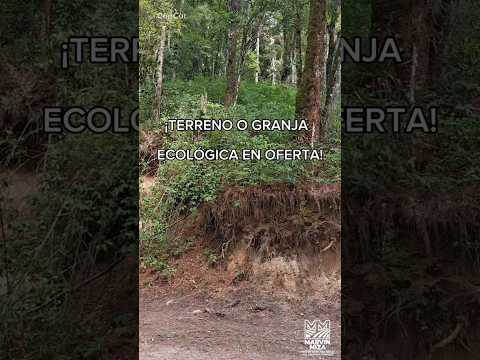 🌿 TERRENO O GRANJA DE 717.80 m² en Santiago Sacatepéquez | Hermosa Vista + Alta Plusvalía