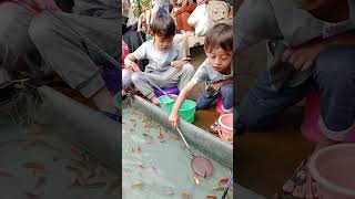 Download lagu Babak Ketiga Menjaring Ikan Dimulai #shorts #fish #fishing #funny mp3