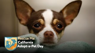 Rescue Me: California Adopt-a-Pet Day | Full Special