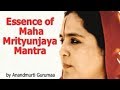Essence of Maha Mrityunjaya Mantra: Lord Shiva ...