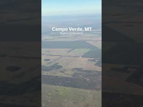 Agronegócio de Campo Verde, MT, terras de qualidade para algodão.