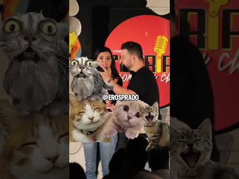 3 de fevereiro de 2025