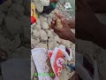 Feeder Bait Popup Fishing Crap Fish Use Bait Feedar Hook Fishing Fishing Youtube Shorts