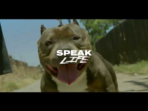 SPEAK LIFE - ZADOK & SEVIN DUCE - HOGMOB.COM