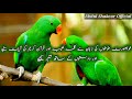 Abdul Shakoor Official Youtube Channel