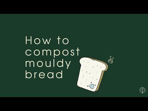 How to compost mouldy bread - Composting
