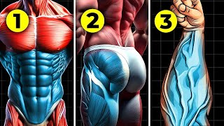 5 exercícios que TODO homem deve fazer