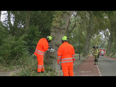 Brandweer Spaarndam Zaagt boom om op de Vergierderweg in Haarlem
