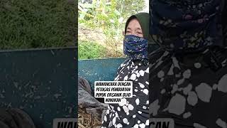 Download lagu Wawancara Saya Dengan Petugas Pembuat Pupuk Organik Blhd Nunukan #shortsvideo mp3 Download lagu Wawancara Saya Dengan Petugas Pembuat Pupuk Organik Blhd Nunukan #shortsvideo mp3