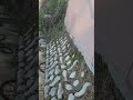 'https://youtu.be/e2_' 글에 포함된 동영상