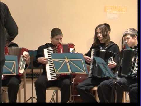 Harmonikarski orkester