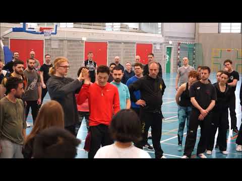 TG wave arms - DK Yoo