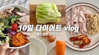 Diet Vlog for 10 days | loses 2kg of body fat | diet meal | work out | before and after