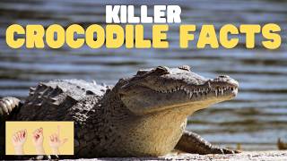 ASL Killer Crocodile Facts