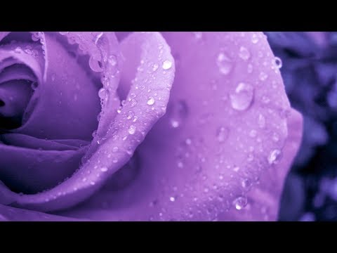 The Difference Between Divorce and Khula' - Aboo 'Abdullaah Khalif