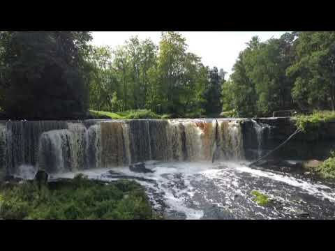 Taaddasaa Fiixee- Tumsee haa lolu