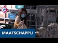 Maatschappelijke initiatieven kunnen niet zonder financiële steun en vrijwilligers - OMROEP WEST