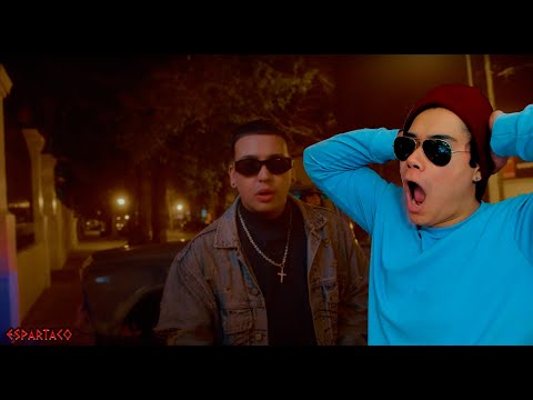 El éxito 🤯 Espartaco Reacciona a El Osito Wito - Mi Gata